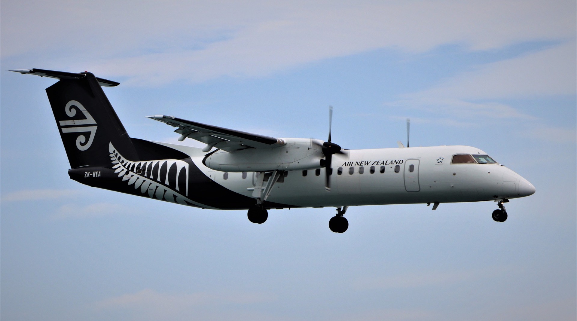 Stop Airways pulling out of regional Aotearoa